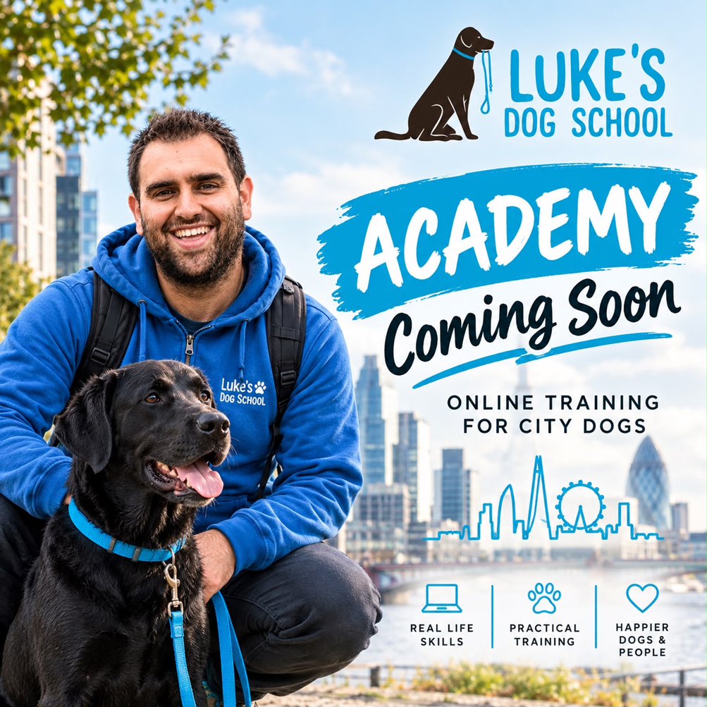 Luke newsletter